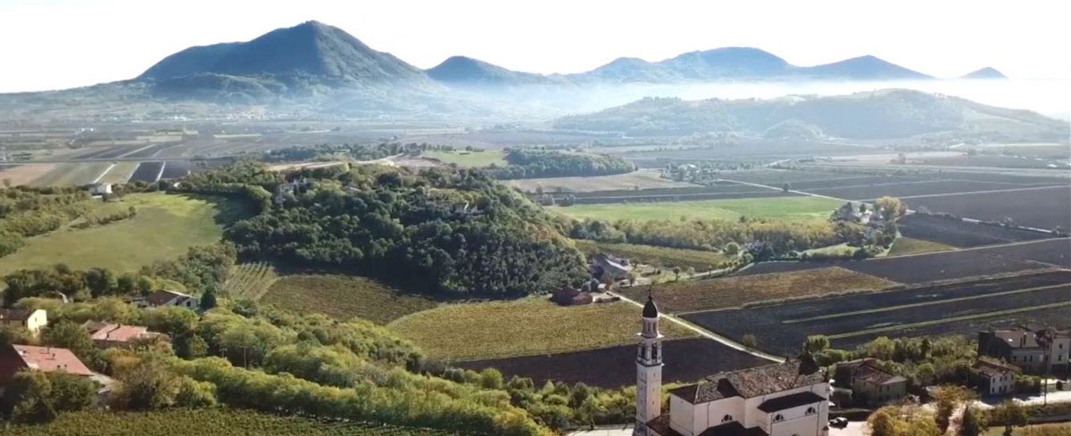 Tenuta Castellaro